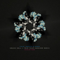 Thumbnail for the Luigi Rocca - Trip Trap - Cassimm Remix link, provided by host site