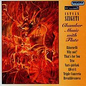 Thumbnail for the Zoltán Gyöngyössy - Triple Concerto for 2 flutes and bassoon: I. Movement 1 link, provided by host site