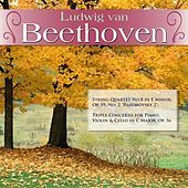Thumbnail for the Orchestra of the Württemberg State Opera - Triple Concerto for Piano, Violin & Cello in C Major, Op. 56: I. Allegro link, provided by host site