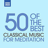 Thumbnail for the Jenő Jandó - Triple Concerto For Violin, Cello and Piano In C Major, Op. 56: II. Largo link, provided by host site