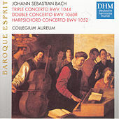 Thumbnail for the Collegium Aureum - Triple Concerto in A minor, BWV 1044, for Flute, Violin, Harpsichord, Strings and B.c. - Triple Concerto in A minor, BWV 1044, for Flute, Violin, Harpsichord, Strings and B.c.: Alla breve link, provided by host site