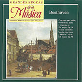Thumbnail for the Josef Chuchro - Triple Concerto in C Major, Op. 56: III. Rondo alla Polacca link, provided by host site