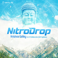 Thumbnail for the NitroDrop - Tripping On Acid link, provided by host site