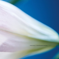 Thumbnail for the Francis Harris - Trivial Occupations Remixes link, provided by host site
