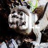 Thumbnail for the Plain - Troll link, provided by host site
