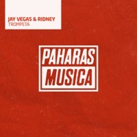 Thumbnail for the Jay Vegas - Trompeta (Extended Mix) link, provided by host site