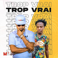 Thumbnail for the Pyroman - Trop Vrai link, provided by host site