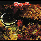 Thumbnail for the John Tropea - Tropea link, provided by host site
