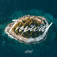 Thumbnail for the LSK - Tropical link, provided by host site