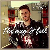 Thumbnail for the Sean Norvis - Tropical Way To Heaven link, provided by host site