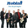 Thumbnail for the Robin S - Tror Du På änglar link, provided by host site