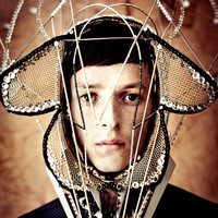 Image of Totally Enormous Extinct Dinosaurs linking to their artist page due to link from them being at the top of the main table on this page