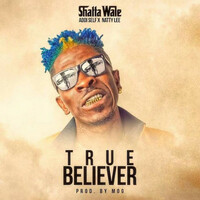 Thumbnail for the Shatta Wale - True Believer link, provided by host site