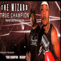 Thumbnail for the The Wizard - True Champion link, provided by host site