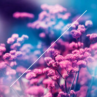 Thumbnail for the Ale Russo - True Colors link, provided by host site