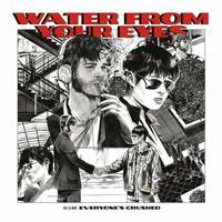 Thumbnail for the Water From Your Eyes - True Life link, provided by host site
