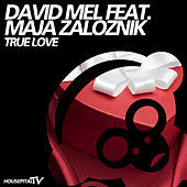 Thumbnail for the David Mel - True Love link, provided by host site