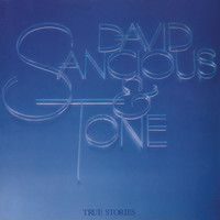 Image of David Sancious linking to their artist page due to link from them being at the top of the main table on this page