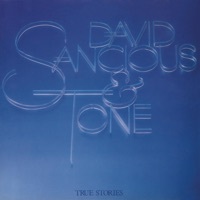 Thumbnail for the David Sancious - True Stories link, provided by host site