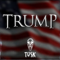 Thumbnail for the Tusk - Trump link, provided by host site