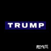 Thumbnail for the Remute - TRUMP link, provided by host site