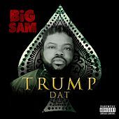 Thumbnail for the Big Sam - Trump Dat link, provided by host site