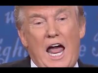Thumbnail for the The Gregory Brothers - Trump - Sean Hannity 10 Minute Loop link, provided by host site