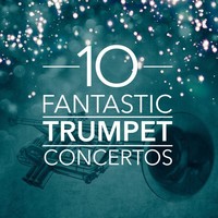 Thumbnail for the Johann Friedrich Fasch - Trumpet Concerto in D Major FWV L:D1 : 2. Largo link, provided by host site