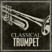 Thumbnail for the Franz Joseph Haydn - Trumpet Concerto in E Flat, H.VIIe No. 1 : 3. Allegro link, provided by host site
