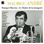 Thumbnail for the Orchestre de l'Association des Concerts Lamoureux - Trumpet Concerto in E Major, S. 49: I. Allegro con spirito link, provided by host site