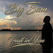 Thumbnail for the Big Sam - Trust in You link, provided by host site