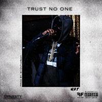 Thumbnail for the Q2T - Trust No One link, provided by host site