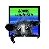 Image of JAVIIS linking to their artist page due to link from them being at the top of the main table on this page