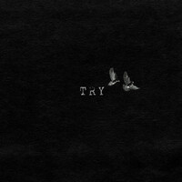 Thumbnail for the Micky - Try link, provided by host site
