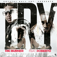Thumbnail for the Mic Burner - Try link, provided by host site
