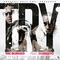 Thumbnail for the Mic Burner - Try link, provided by host site