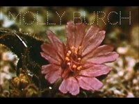 Thumbnail for the Molly Burch - Try (Official Single) link, provided by host site