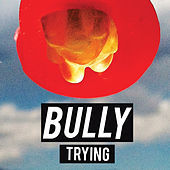 Thumbnail for the Bully - Trying link, provided by host site