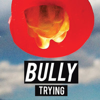 Thumbnail for the Bully - Trying link, provided by host site