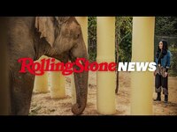 Thumbnail for the Cher - Trying to Save the ‘World’s Loneliest Elephant’ | RS News link, provided by host site