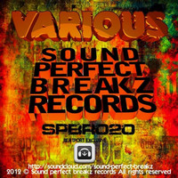 Thumbnail for the Prototyperz - Tsunami - Original Mix link, provided by host site