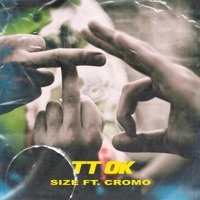Thumbnail for the Size - TT OK link, provided by host site