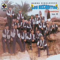 Thumbnail for the Banda Sinaloense Los Recoditos - Tu Abandono, Vol. 4 link, provided by host site