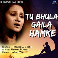 Thumbnail for the Priyanka Singh - Tu Bhula Gaila Hamke link, provided by host site