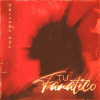 Thumbnail for the The Feeling - Tu fanático link, provided by host site