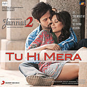 Thumbnail for the Shafqat Amanat Ali - Tu Hi Mera link, provided by host site