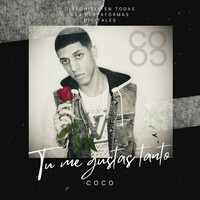 Thumbnail for the Coco - Tu Me Gustas Tanto link, provided by host site