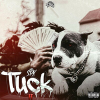 Thumbnail for the GMO Stax - Tuck It link, provided by host site
