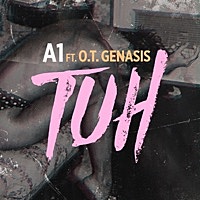 Thumbnail for the A1 - TUH link, provided by host site