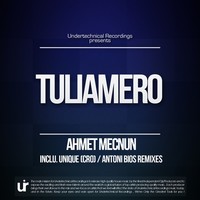 Thumbnail for the Ahmet Mecnun - Tuliamero link, provided by host site